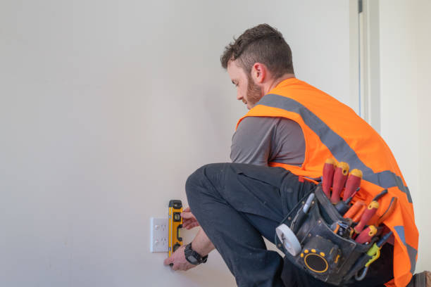 Best Electric Panel Repair  in Mahnomen, MN